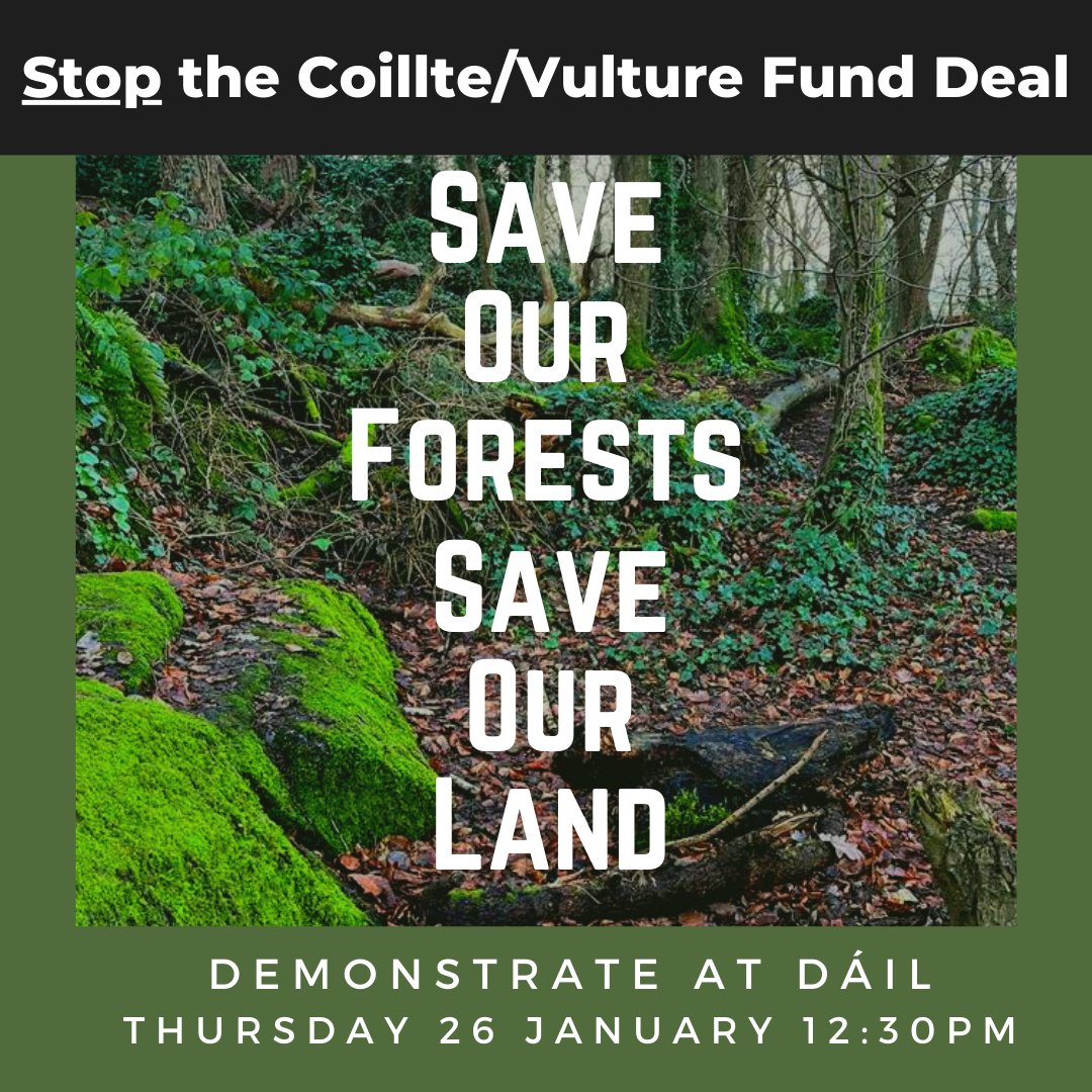SaveLeitrim's tweet image. Join us @SaveLeitrim and many more people and groups on Thursdsy next 12.30 outside @OireachtasNews  @pb4p @Irishwildlife @woodlandleague @foeireland @ExtinctRebelsIE @HellfireMassy @RBoydBarrett @LNBDublin @SchoolStrikesIE @AnRabhartaGlas @JTG_ie