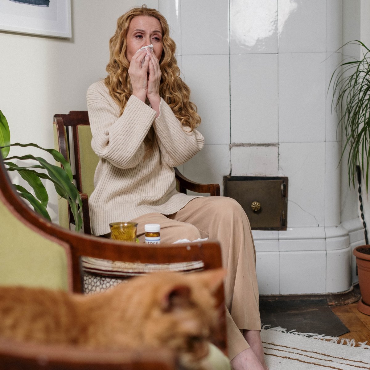 AllergyReliefNY's tweet photo. No matter how much we want to think winter means an end to allergies, many allergens are perennial, such as pet dander, mold, mildew, and dust mites. If you're suffering, know that you can rely on us to lend a hand! #AllergyDoctor  #AllergyAndAsthmaCareOfNY #SeasonalAllergies https://t.co/IqLhstCH3K