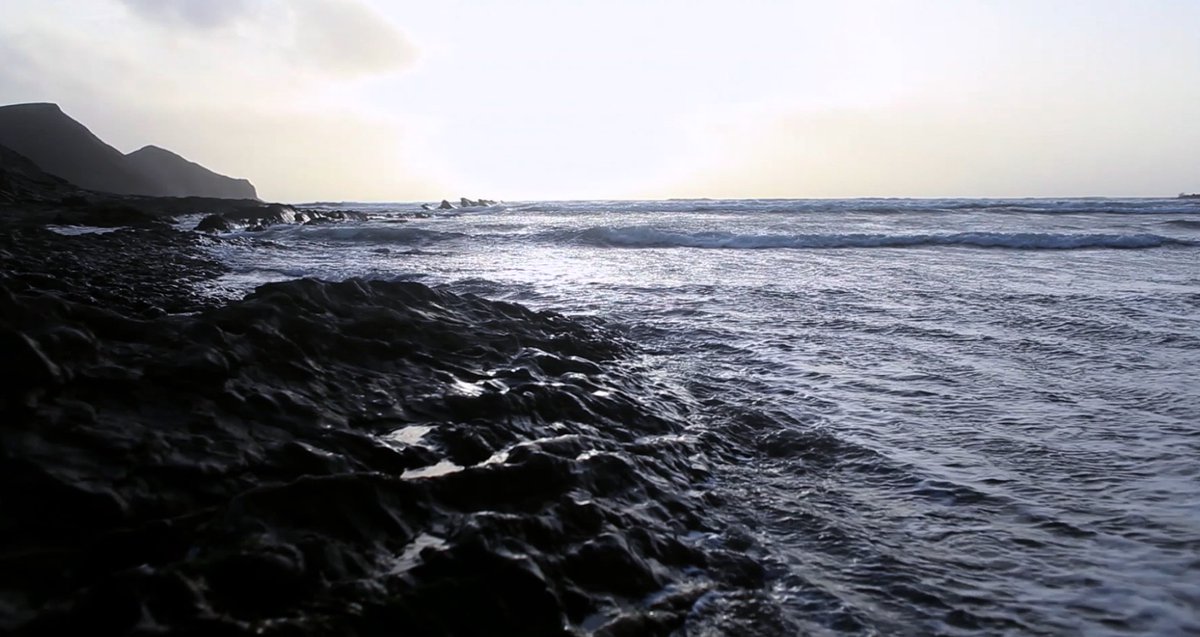 Rik Alexander tweet media