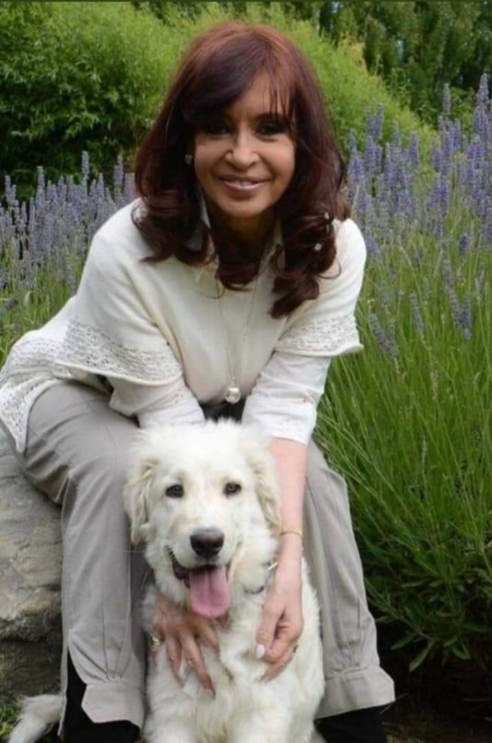 marcelo4ok's tweet photo. #CFK2023 
Y Simon tambien
🤜❤✌🤛 https://t.co/WJKH8JZmpE
