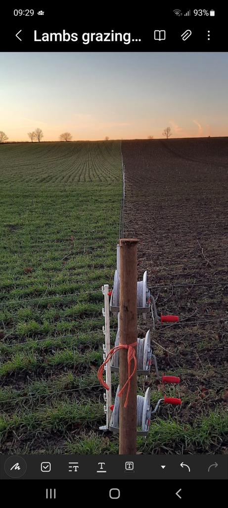 Alex Robertson tweet media