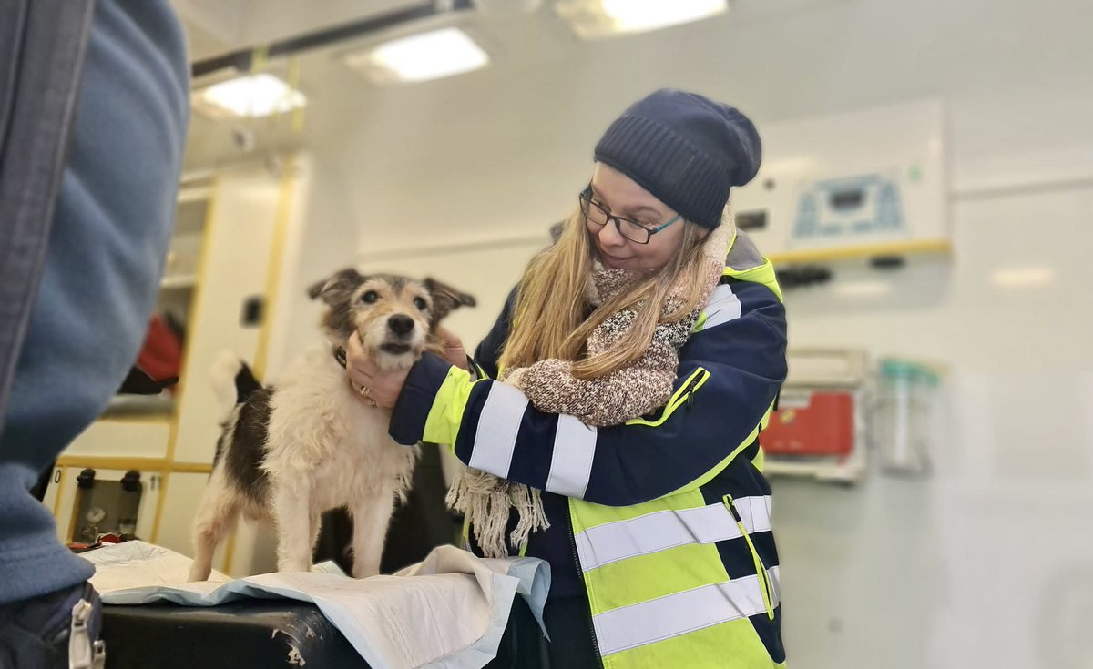 TIER-NOTRUF.de (@tier_notruf) on Twitter photo Wir sind natürlich auch weiterhin mit unserem voll ausgestatteten Tier-RTW bei der Tiertafel Hamburg e.V. und der Ausgabe Haustierhilfe Lübeck e.V. dabei. 
#teampfotenretter #tiertafeln #haustierhilfe #futterausgabe #ehrenamtverbindet Wir sind natürlich auch weiterhin mit unserem voll ausgestatteten Tier-RTW bei der Tiertafel Hamburg e.V. und der Ausgabe Haustierhilfe Lübeck e.V. dabei. 
#teampfotenretter #tiertafeln #haustierhilfe #futterausgabe #ehrenamtverbindet