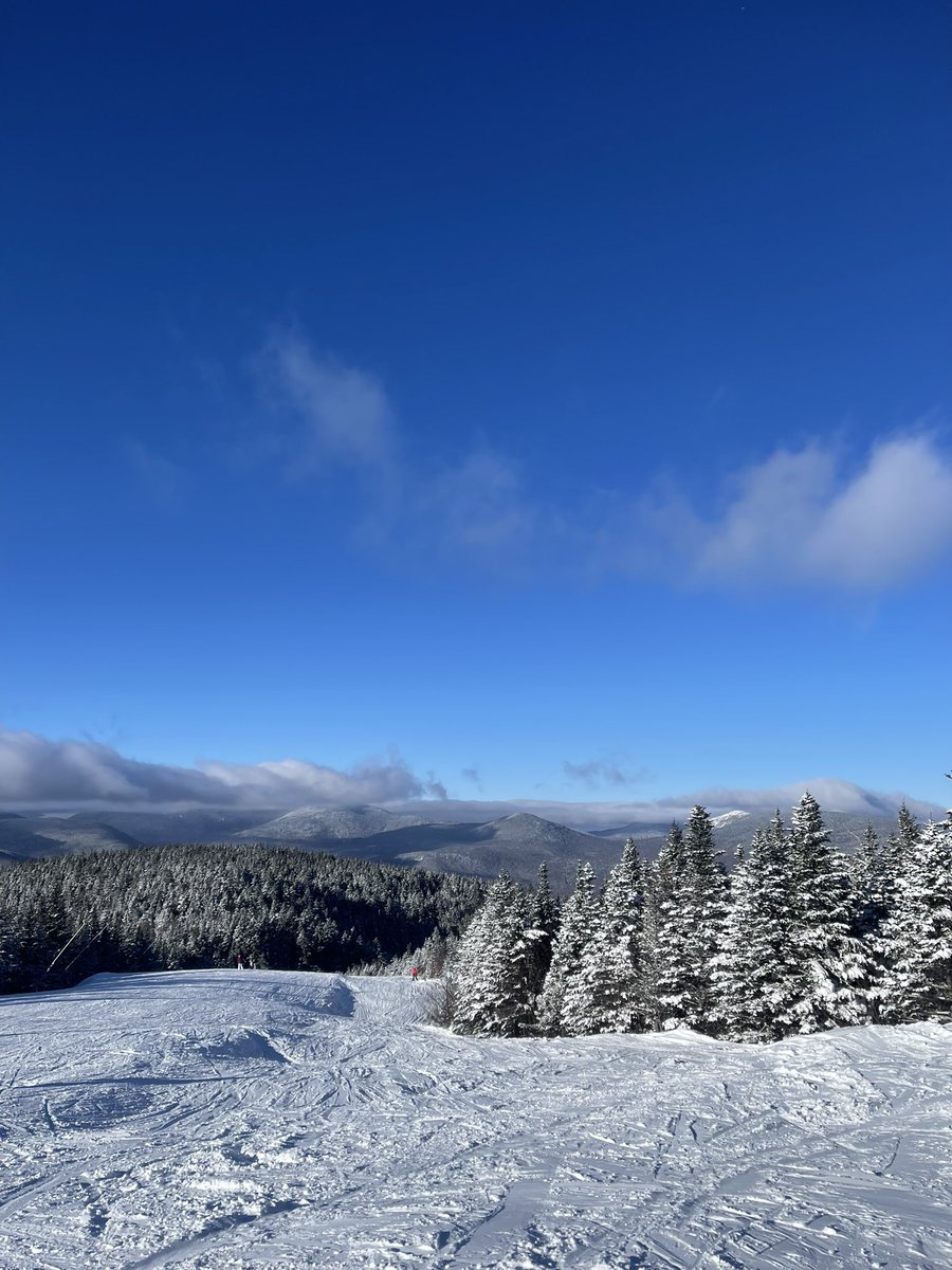 Lauren Healy tweet media