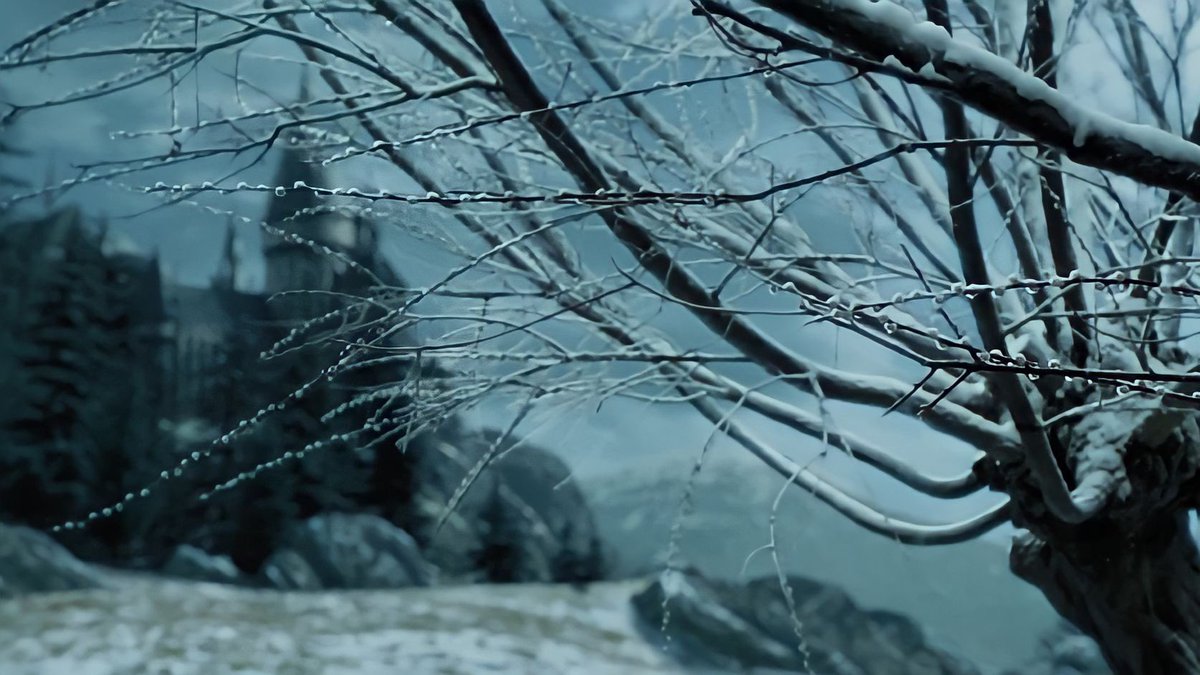 EiProfeta's tweet photo. ¿Estamos todos de acuerdo en que "Harry Potter y el prisionero de Azkaban" es la mejor película de la saga? https://t.co/F1mcSptnnL