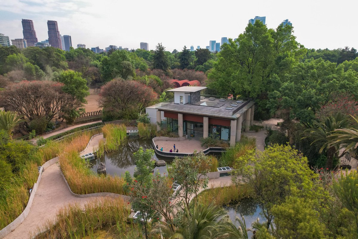 Bosque De Chapultepec tweet media