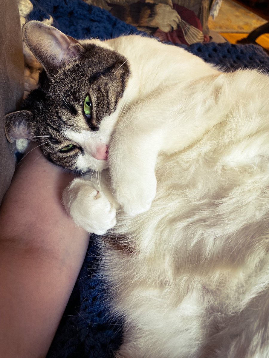 Chris Barron tweet media