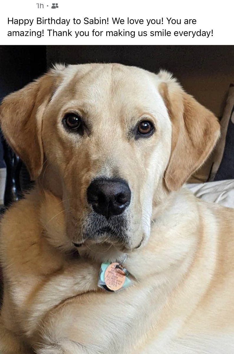 Happy 3rd Birthday to a great pup!