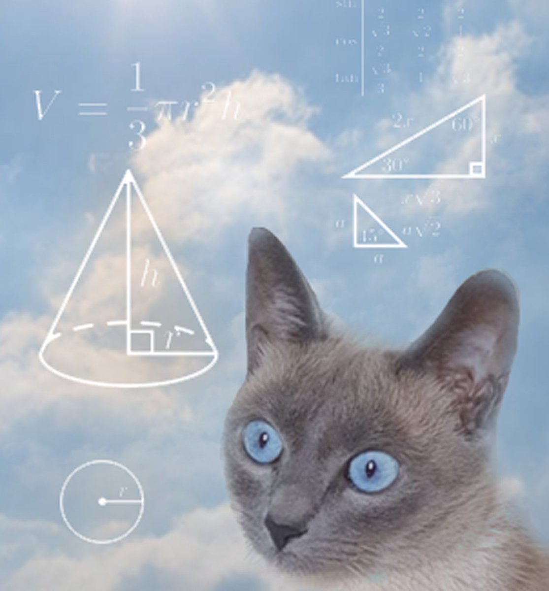 TinyStudioGames's tweet photo. #MemeContest #meme #memes #meme #cat #caturday #CatsOfTwitter #CatsOnTwitter #CatStar #mathlady #confusedlady https://t.co/tDo4TmW8cd