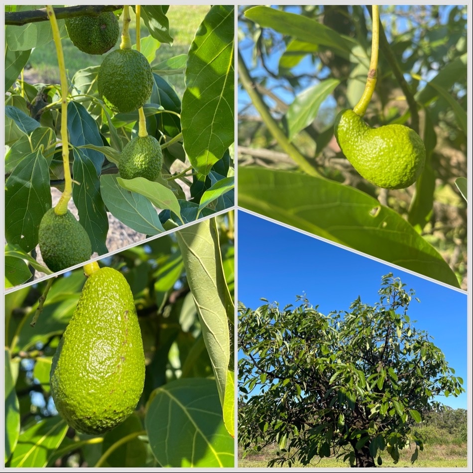 Need Time Away tweet media