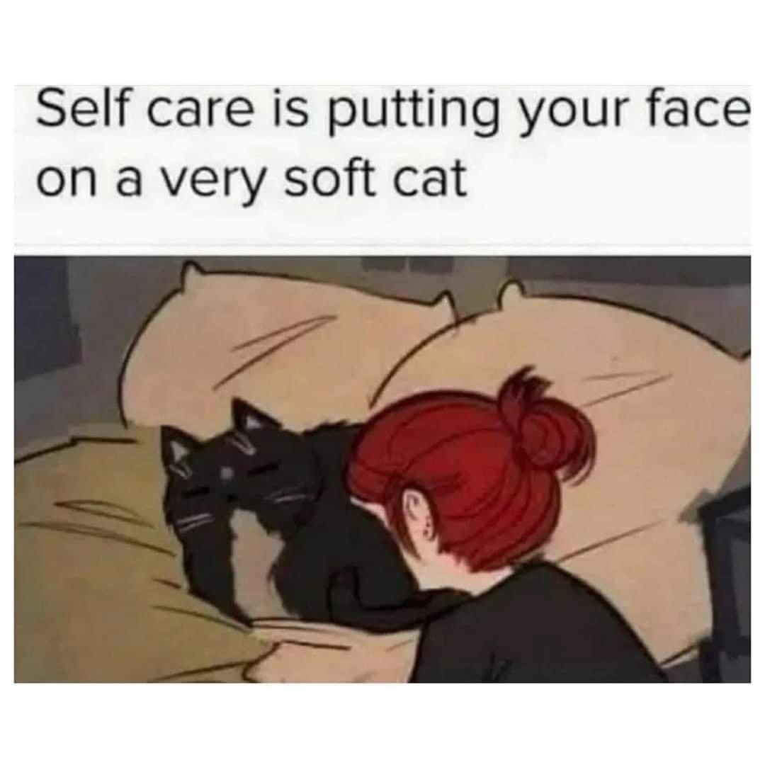 Facts 🖤 #catlady