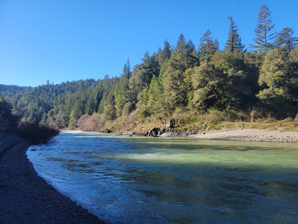 MattDias2773's tweet photo. South Fork Eel this morning.  Awesome to see the river up and showing emerald green.  This is a amazing swimming hole in the summer months....41 degrees outside, not so much!! https://t.co/VMwv3rieHf