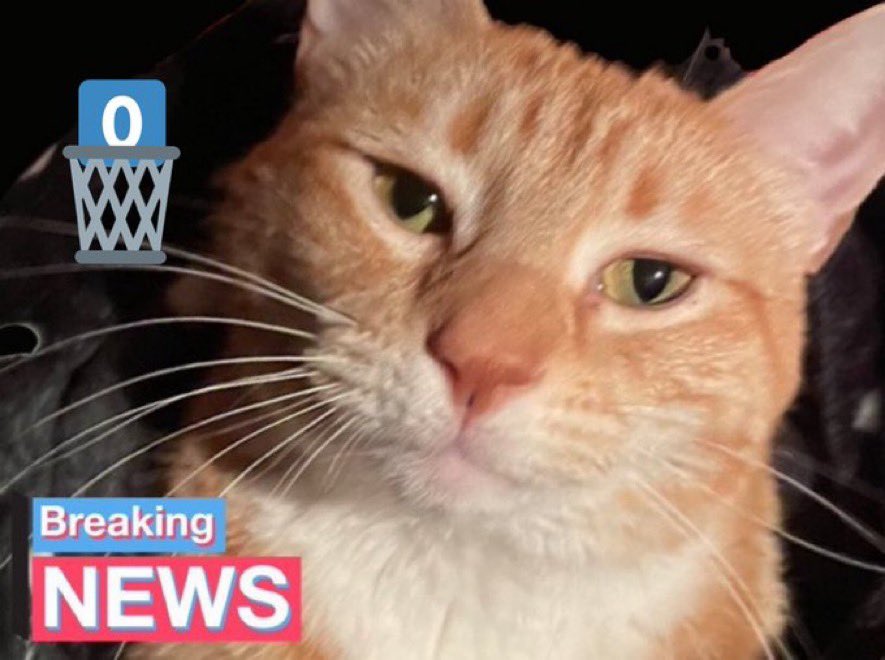 Days since trash can mishap: 0
It was a good run