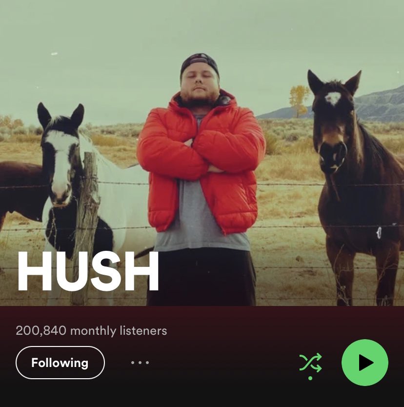 hush tweet media