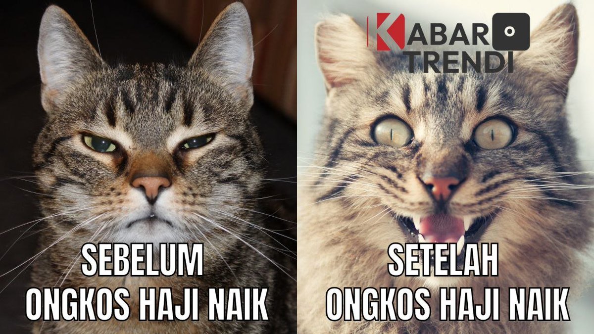 KabarTrendi's tweet photo. Meme ongkos haji naik
😁
#ongkoshaji #naik #2023 https://t.co/vH2h7m1mCW