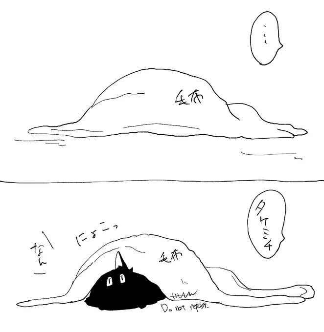 さむい 