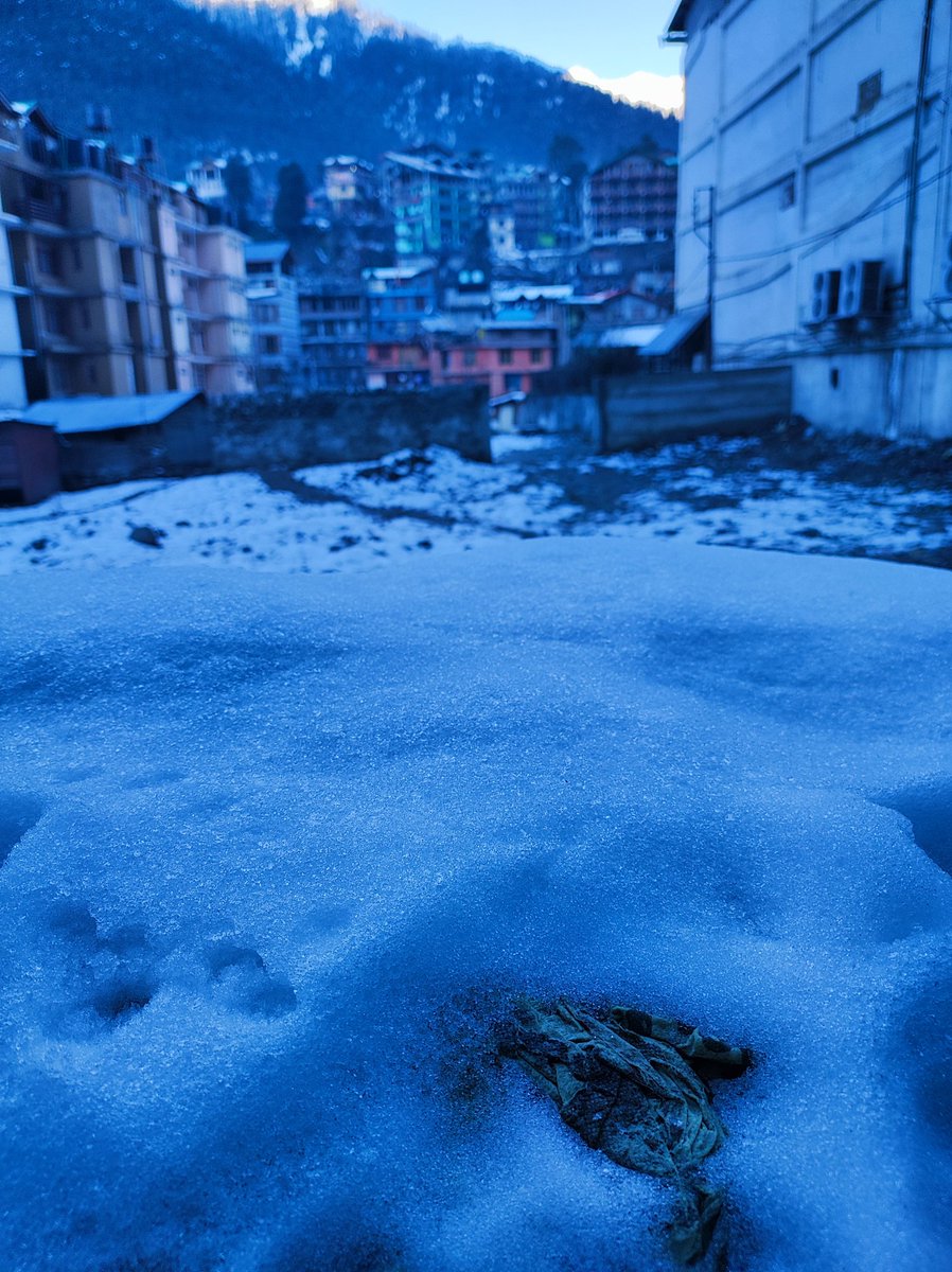Stargazer2015's tweet photo. As we move to capture heaven @travel_manali 

#manali #himachal #himachalpradesh #shimla #kullu #himalayas #india #mountains #travel #nature #himachali #travelphotography #himachaltourism #pahadi #kangra #mandi #manalidiaries #kasol #instahimachal #incredibleindia https://t.co/GC7XN7ZbdI