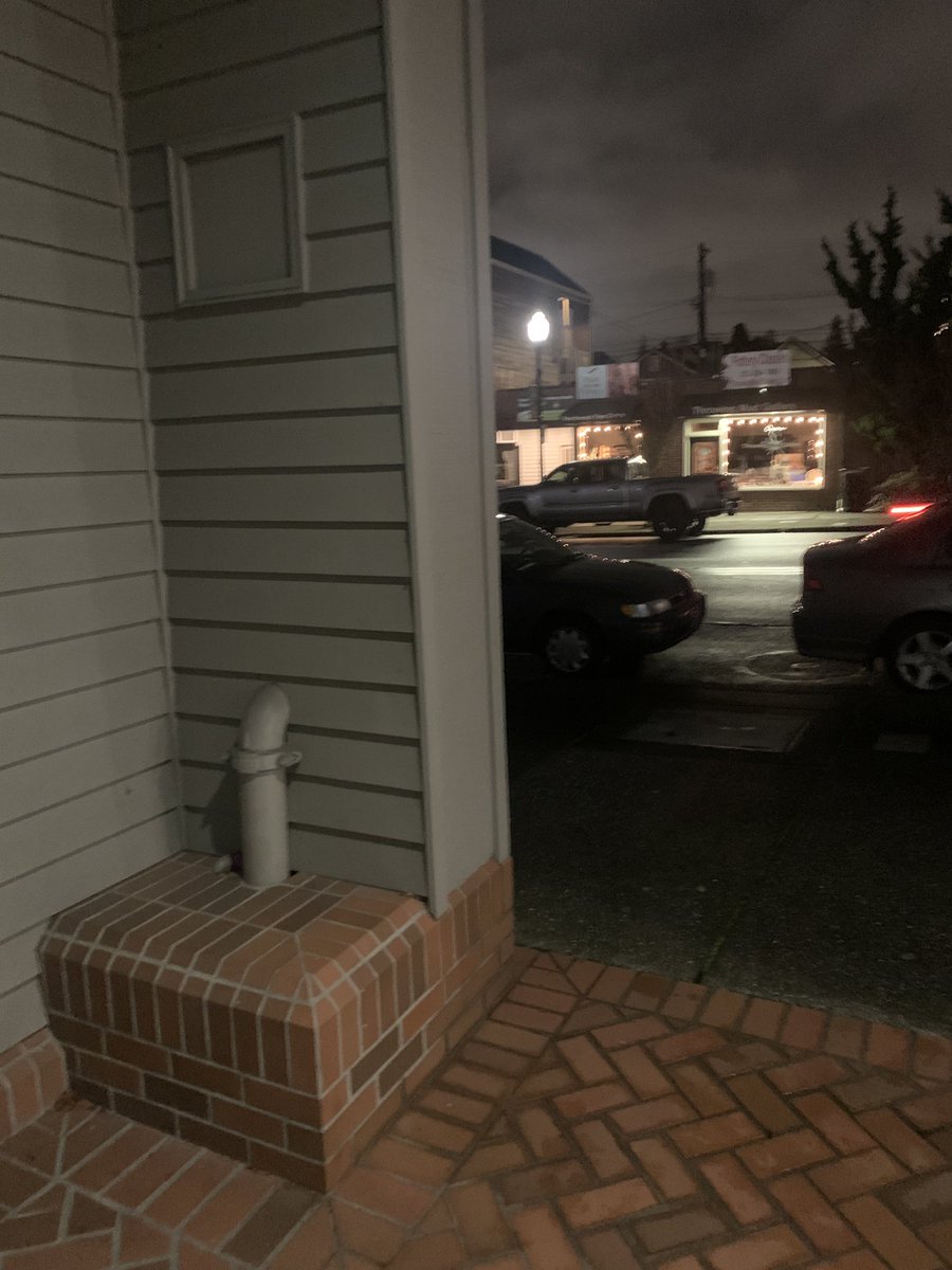 FlashlightLife's tweet image. #monkeyshines2023