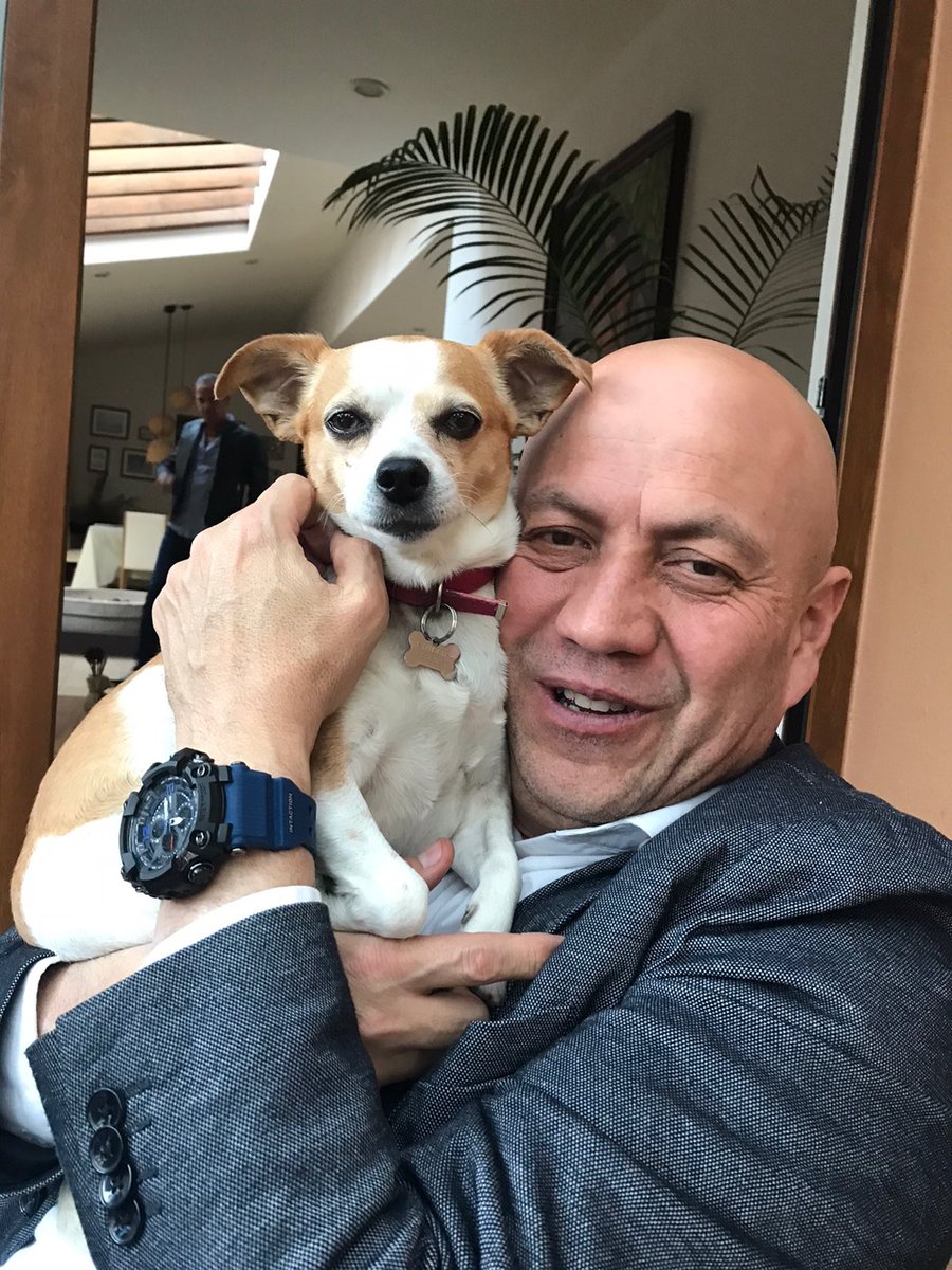 HernandezRRamon's tweet photo. Les presento a #LaPipa #consen 💙💙💙 https://t.co/H2OzwBFvXk