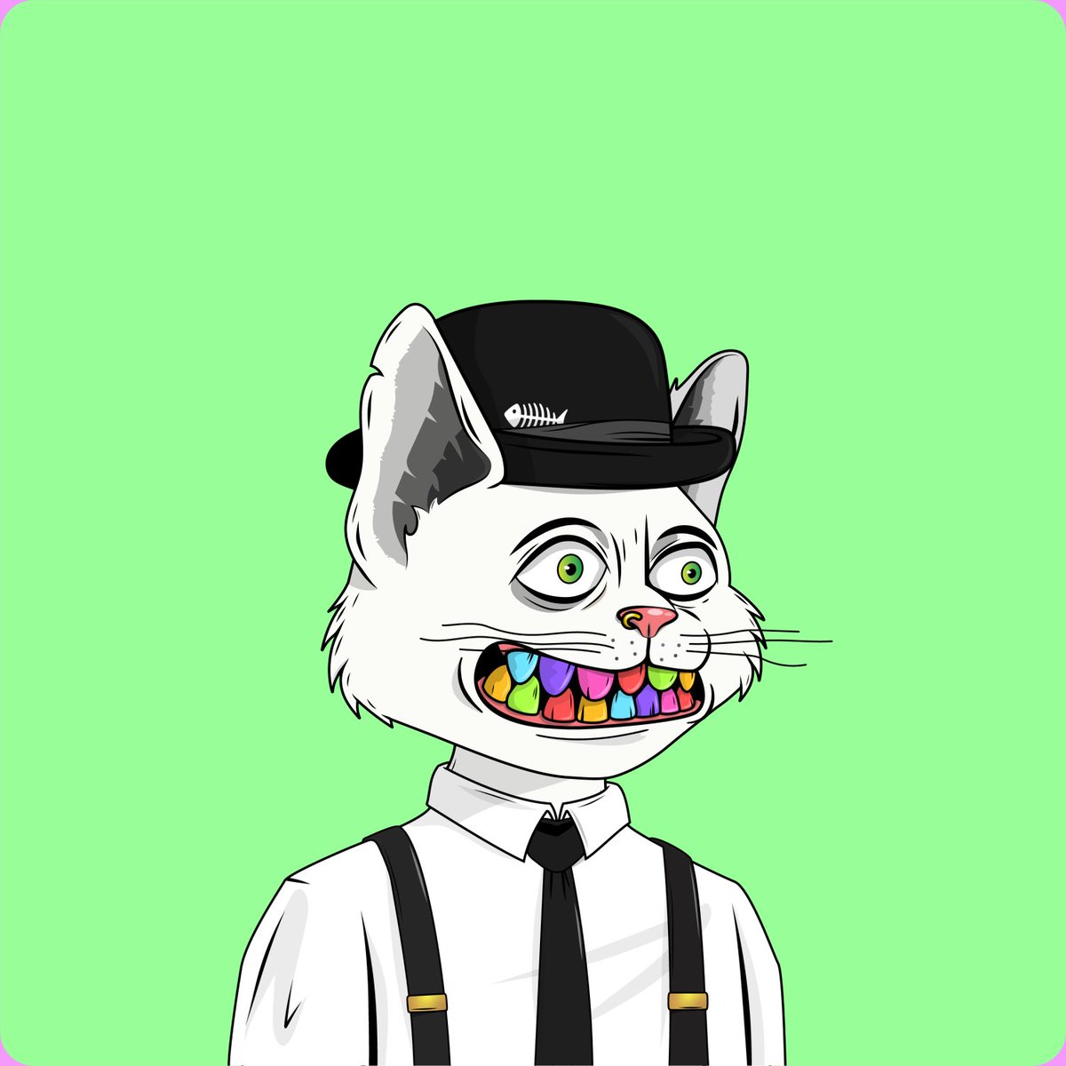 Bellcro_o's tweet photo. @TheAlleyCatGang https://t.co/1EbFvMOCib