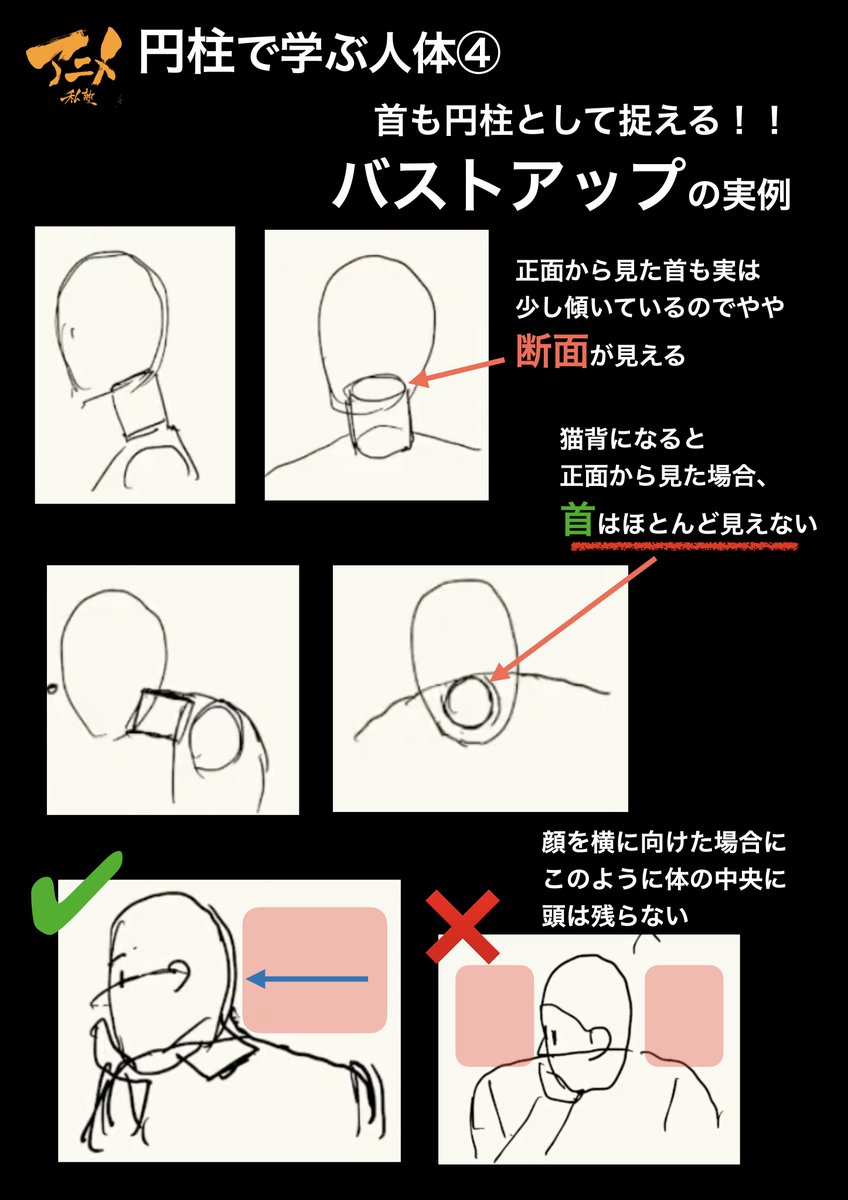 ●円柱で学ぶ人体
・人体は円柱の組み合わせ。
・円柱の断面変化で立体を把握する
・円柱とは?「円と長方形の組み合わせ」
・円柱も人体も最大と最小を把握する。
・最小の形が圧縮された『断面』になる
・首も円柱として捉える!!