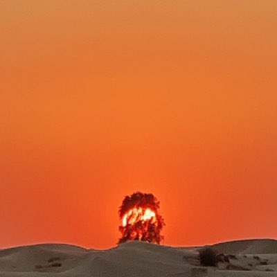 Emixamaxim's tweet image. #NewProfilePic