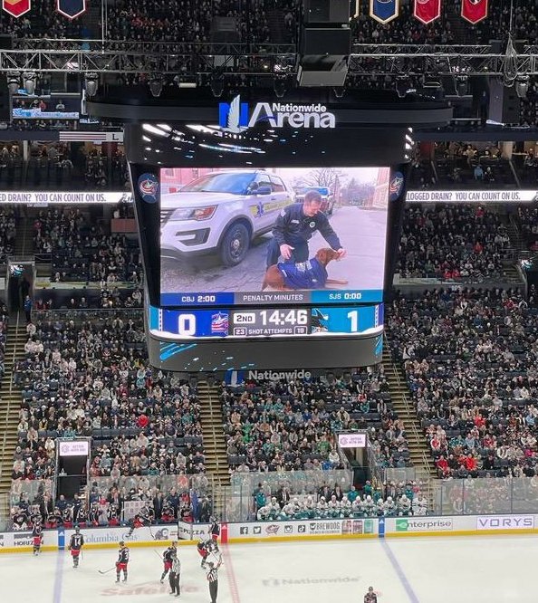 DelCoco911 tweet media