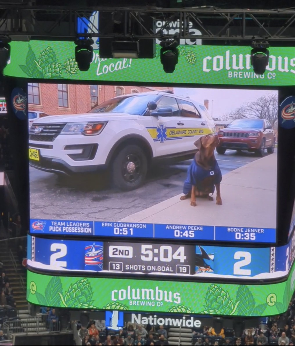 oh juss a lil <a href="/DelawareCoOhio/">Delaware County, Ohio</a> <a href="/DelCoOH911/">Delaware County 911</a> doggo on da bigz scween at da <a href="/BlueJacketsNHL/">Columbus Blue Jackets</a> game..an guesses wut..we beatz dem Shawkz! 
@delcityfarm <a href="/DelCoProud/">DelCoProud ☮️</a> <a href="/DelCoEMA/">Delaware Co. Emergency Management</a> <a href="/BarkAndreFurry/">Bark-André 🌈</a> <a href="/DekeHenriFurry/">Deke</a> <a href="/JGumbosDelaware/">J. Gumbo's Delaware</a>