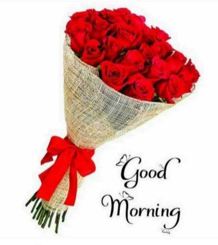 ChandanGoldar9's tweet image. Good morning 🌹🌹🌹🌹❤❤❤❤my all beautiful friends