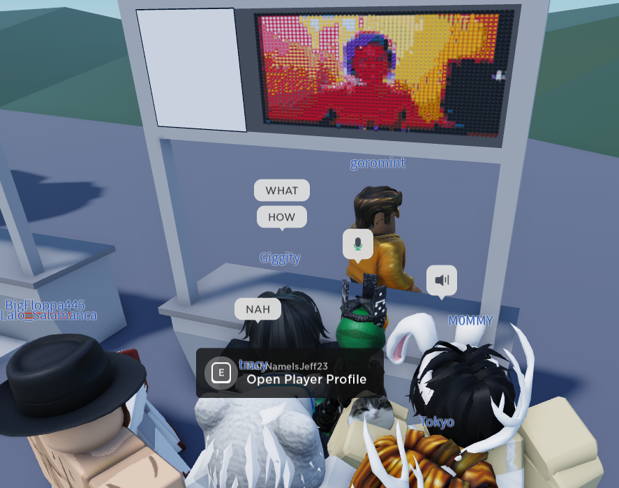 Webcam in Game - Roblox