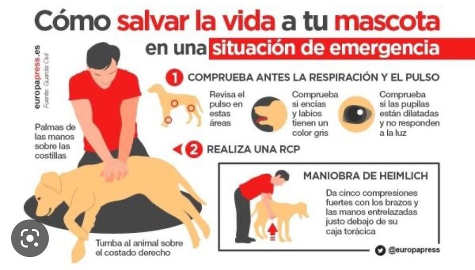 Julio Ernesto Lopez tweet media