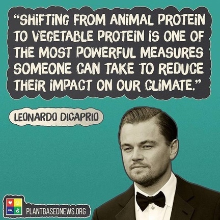 Vegan Future (@veganfuture) on Twitter photo 2023-01-22 11:23:00