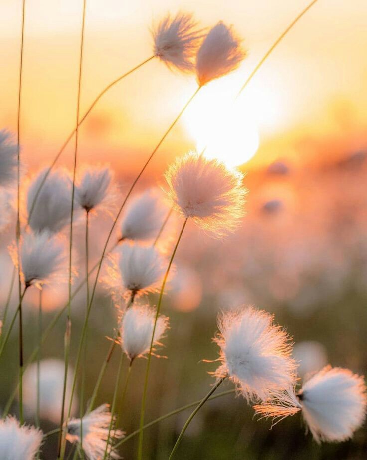 RINOCAR's tweet photo. Abrazarte como lo hace los primeros rayos de sol al amanecer, envolverte entre mis brazos y sientas la magia de mi corazón latiendo al compás de tus latidos cuando arropo tu pecho. https://t.co/wlogKDV4Yf