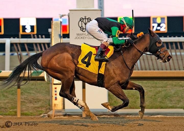 Great photo of our filly today @LaurelPark @MarylandTB @mdhorsemen . With the future Eclipse Award winner up in the irons @jockey_jb18