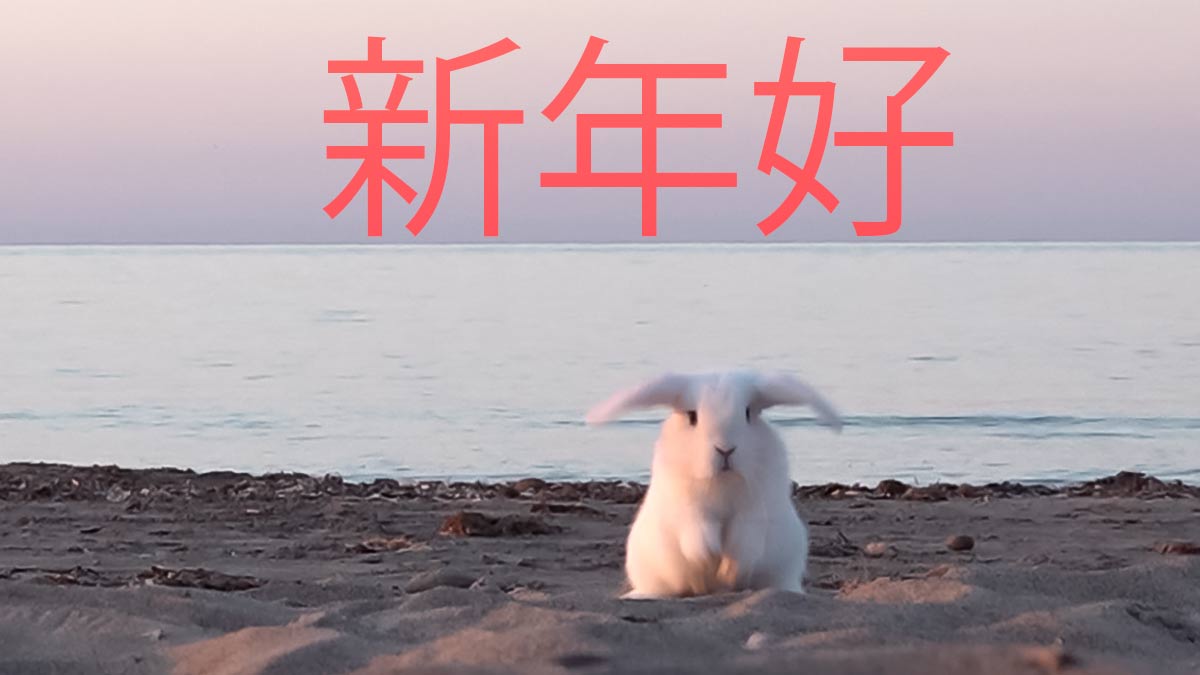 DL_Lounge's tweet photo. 新年好 | Happy Lunar New Year 
Wishing you all #Love, #Peace and #Happiness.
May the Water Bunny 癸卯 be with you.
#HappyChineseNewYear2023 https://t.co/PC6NFCxq7F