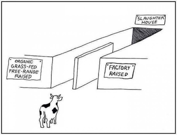 veganfuture's tweet photo. https://t.co/jm246nNlwr