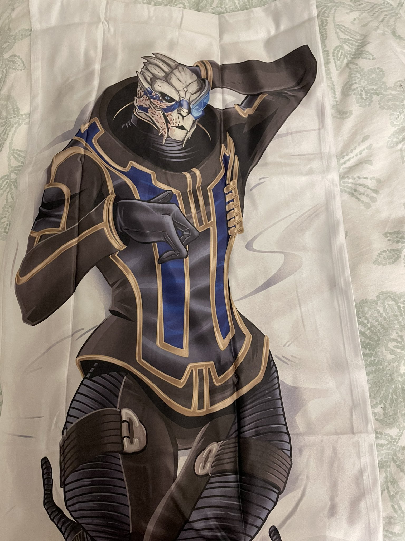 🔴LIVE🔴🧬PomatomasterScifi Vtuber🚀PARTNER PUSH on Twitter "So uh… the Garrus body pillow just