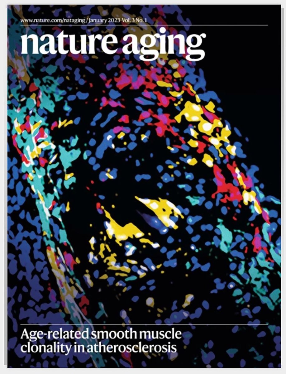 Our insightful research on aging and smooth muscle clonality in atherosclerosis illuminates the “Cover Page” @NatureAging. @GreifLab @YaleCardiology @YaleCVRC @YaleIMed @American_Heart
nature.com/nataging/volum…