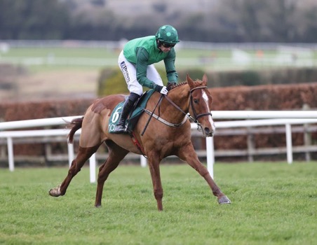 We can dream big for this lad❗️

It looks like the champion bumper is the target after that performance today.

So the countdown is on only 52 more days to go 🔽

#DoubleGreen #ItsForMe #CheltenhamFestival