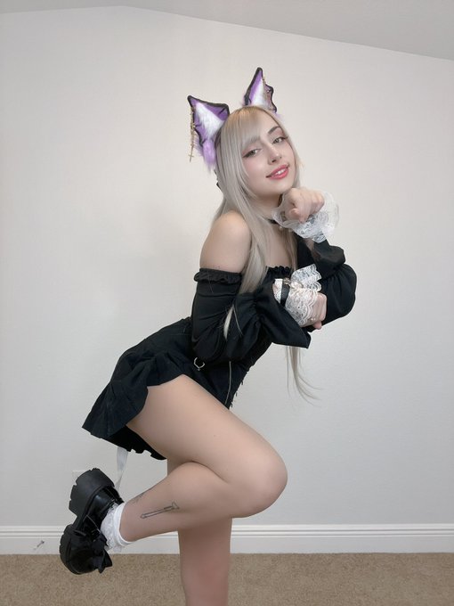 Who wanna adopt a cat https://t.co/nXdcEa6IEW