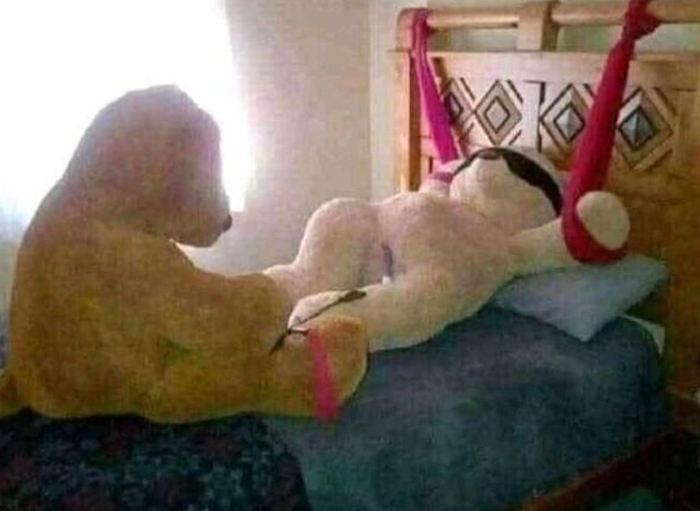 -Anoche soñé que éramos ositos 🥰
—Awww que tierno 🥺
-...