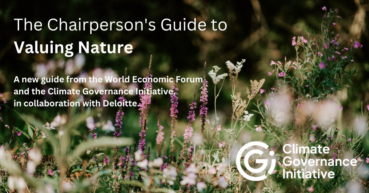 AlanKroeger's tweet photo. All businesses have a connection with nature and The Chairpersons Guide to Valuing Nature helps board members understand the risks &amp; opportunities to successfully steward the business through the #naturepositive transition
@wef @Boards4Climate @Deloitte 
https://t.co/39VjZGKsrs https://t.co/SXiAJz0Q6h