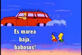 Hoy uno flasheo profundo a la orilla del río y quedó plantado de cara pataleando 😂😂😂