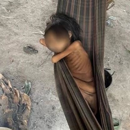 claudiopedrosa8's tweet photo. Sabe quem fez isso? Bolsonaro!!! Mais de 500 Yanomami morreram nos 4 últimos anos, na maioria por desnutrição. Os garimpeiros na região não permitem que eles procurem alimentos na selva, e esse GENOCIDA não fez nada, apenas passeava de moto. https://t.co/SRUDJs1Gom