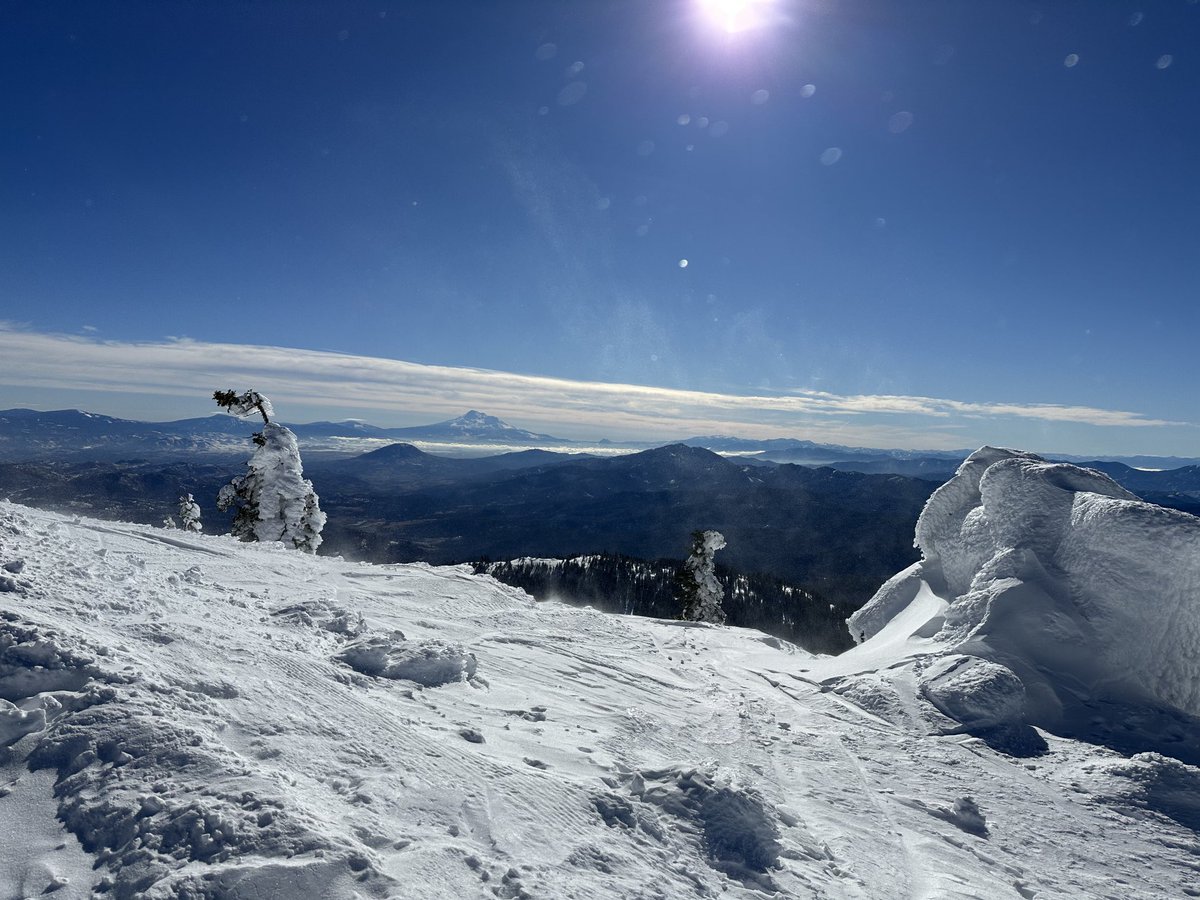 Christine Riley tweet media