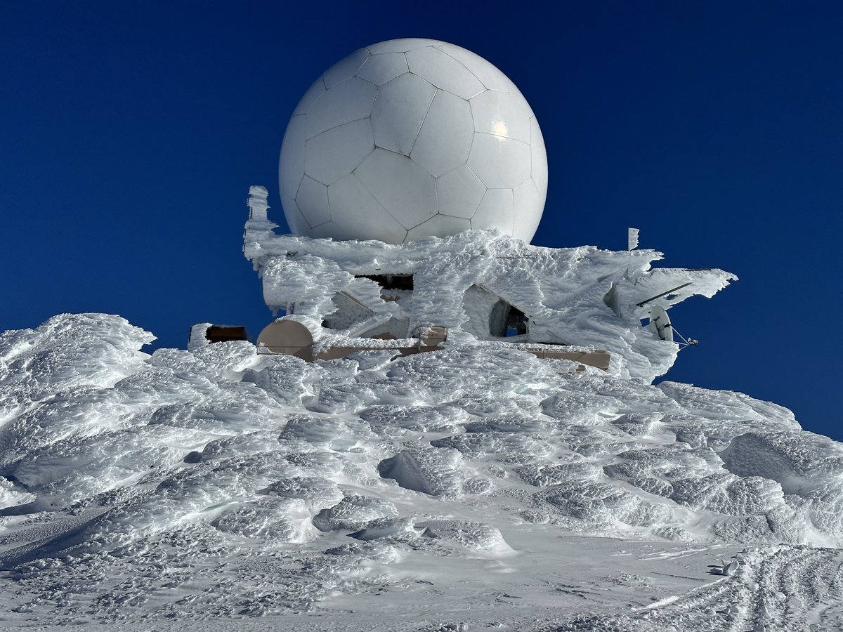 Christine Riley tweet media