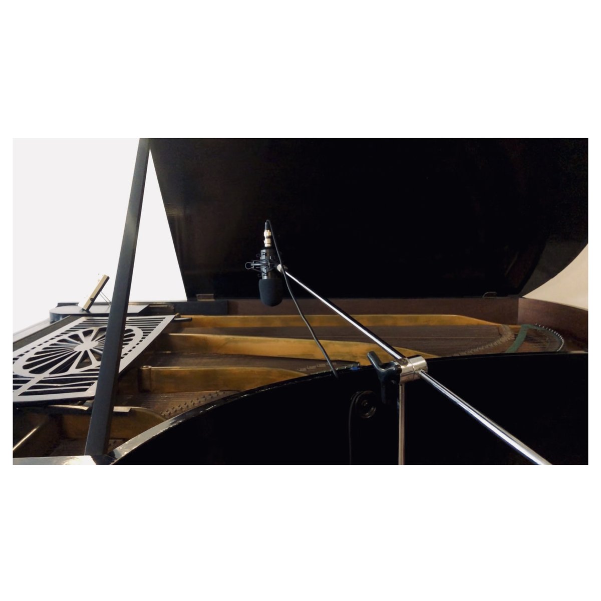 UNBLINKERED MEDIA tweet media