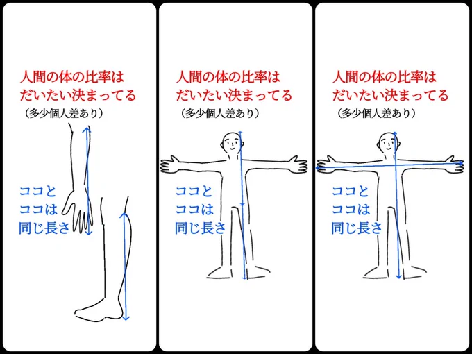 *覚えとくと、人物を描くとき迷わない。 #人物  #イラスト  #描き方  #リドローOK  #素材使って下さい   