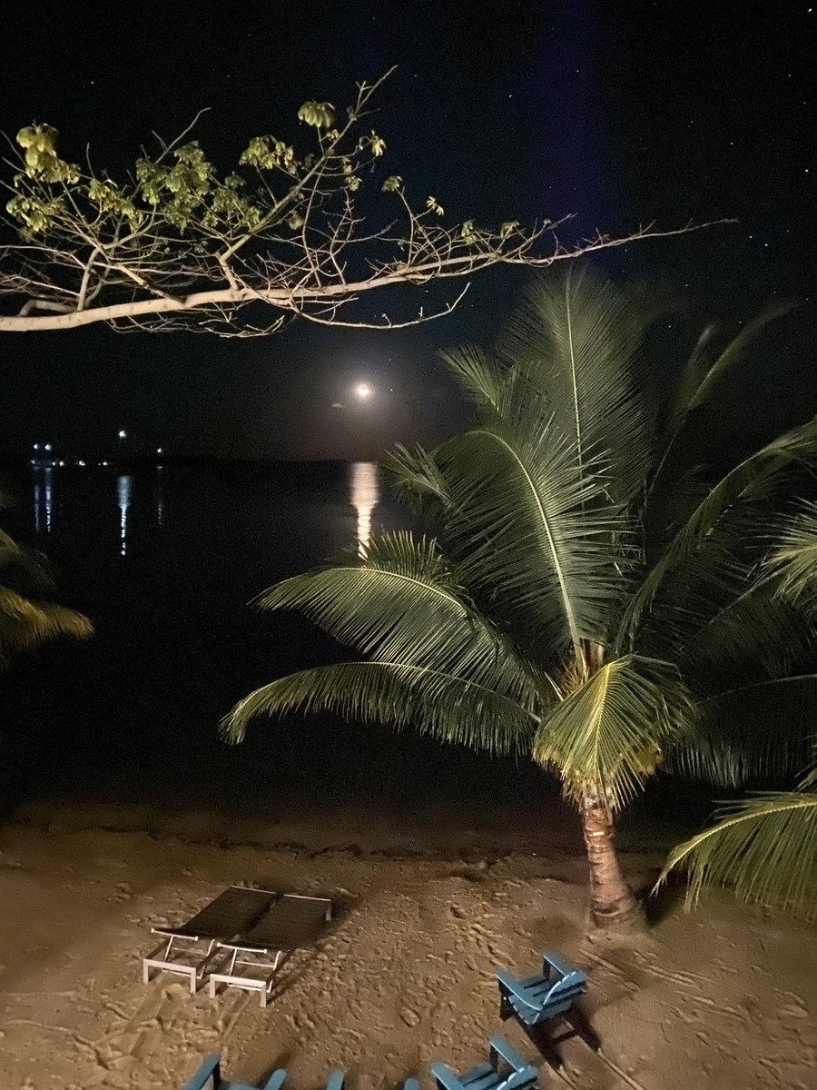 kamimurphy88's tweet photo. #belize #moonandstars #vacation ❤️🌙⭐️ https://t.co/w17u1g9mB2