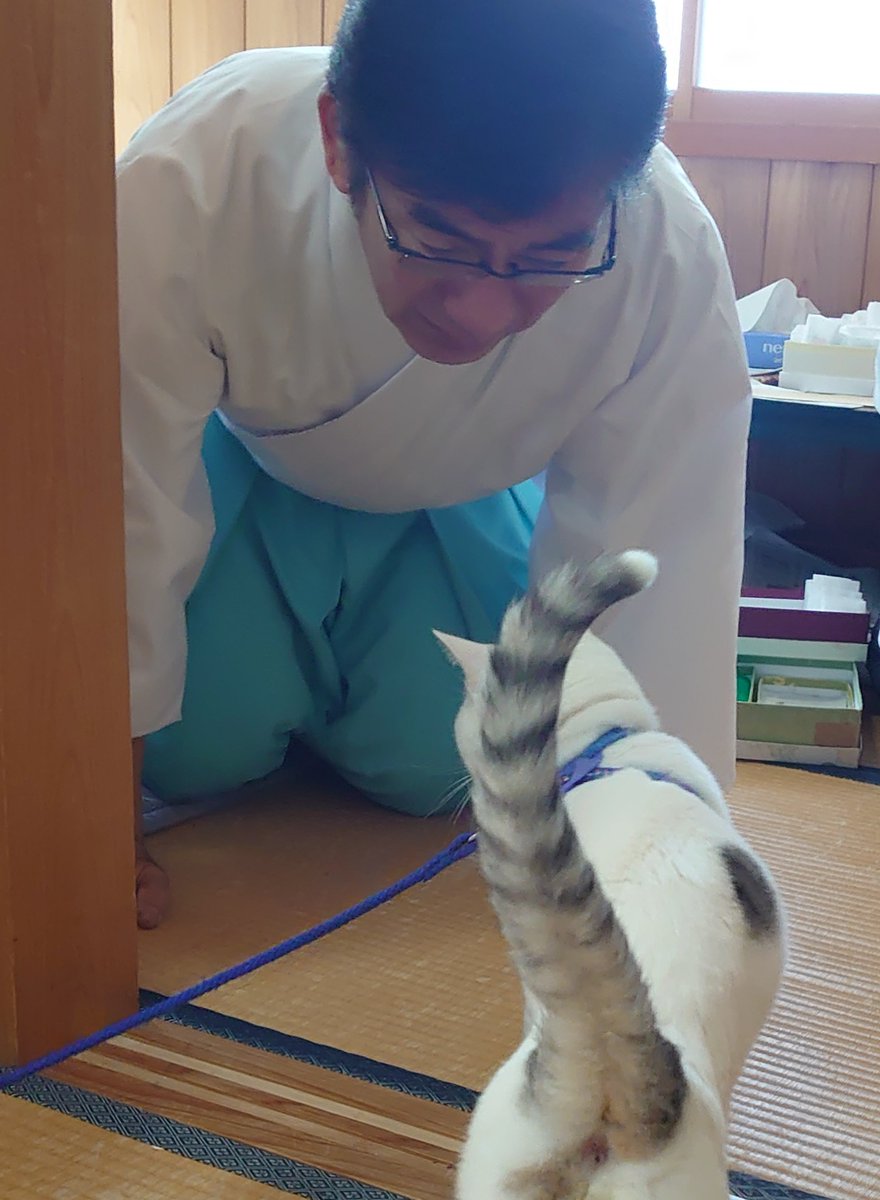 kiyama_jinjya's tweet photo. テンちゃん、遅れて出勤

まずは禰宜さんにご挨拶。 https://t.co/i9yWPdBGh8