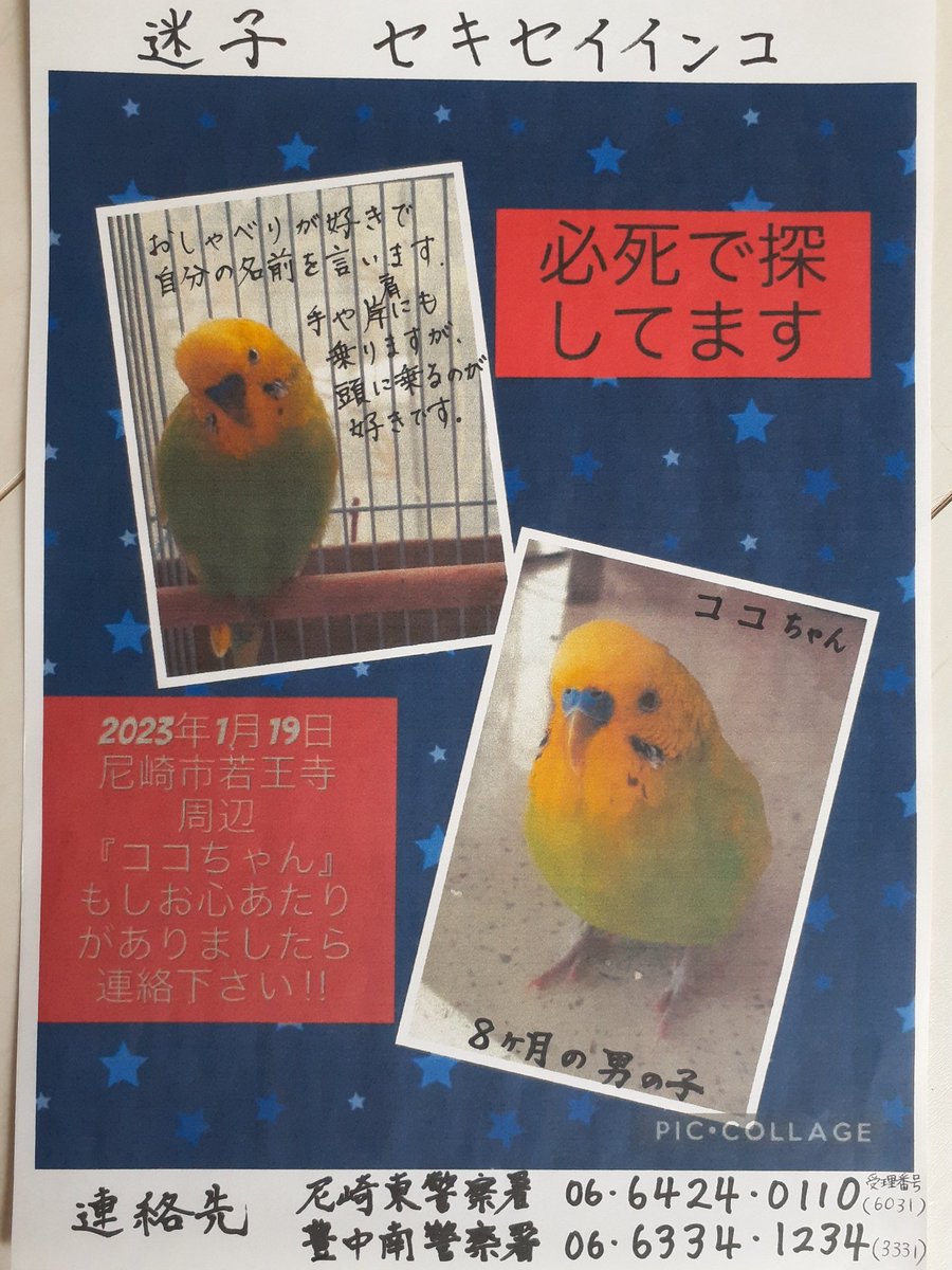 naotarobibi's tweet photo. https://t.co/ULPQh6J4Fz